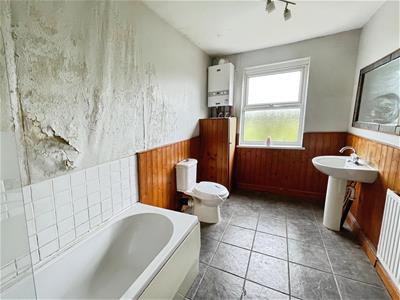 Picture 13